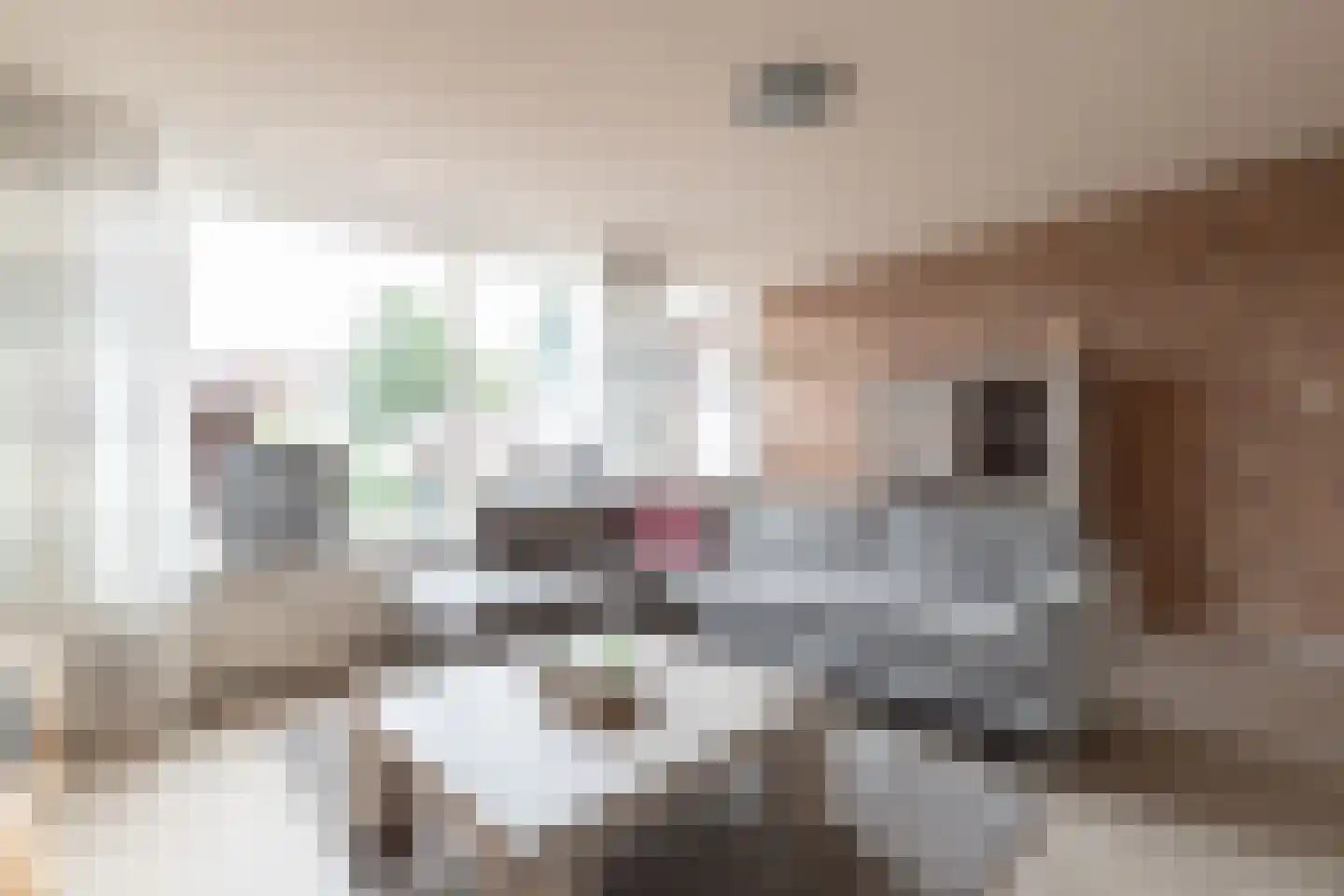 Dr. Oortwijn Botjeslaan 106 Midwolda thumbnail 15