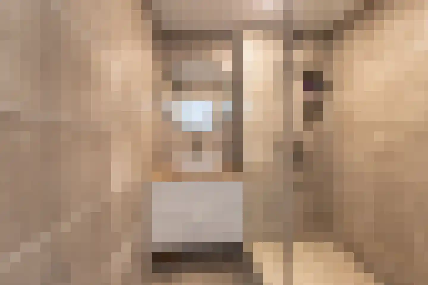 Dr. Oortwijn Botjeslaan 106 Midwolda thumbnail 30