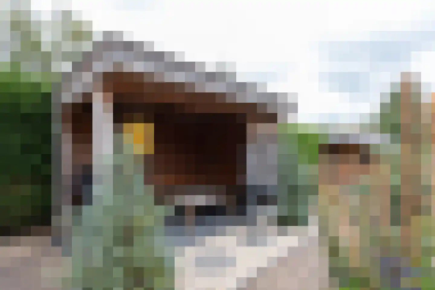 Dr. Oortwijn Botjeslaan 106 Midwolda thumbnail 36