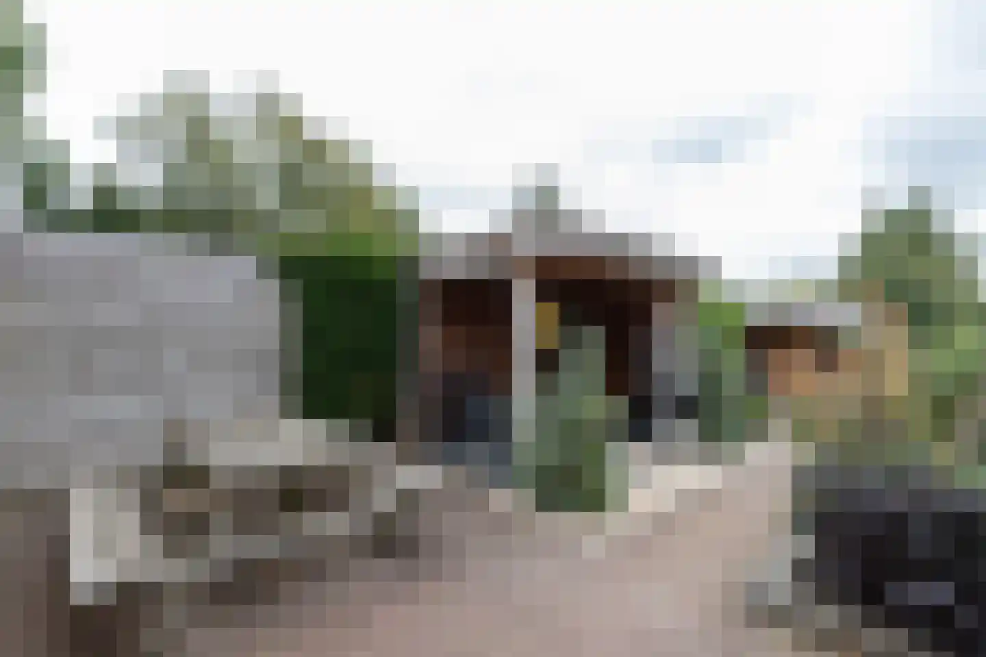 Dr. Oortwijn Botjeslaan 106 Midwolda thumbnail 38