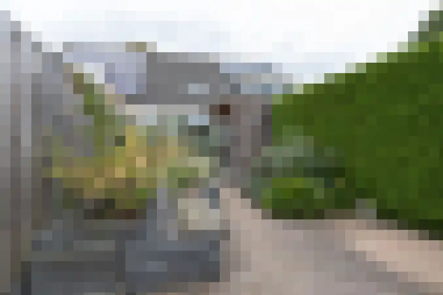 Dr. Oortwijn Botjeslaan 106 Midwolda thumbnail 41