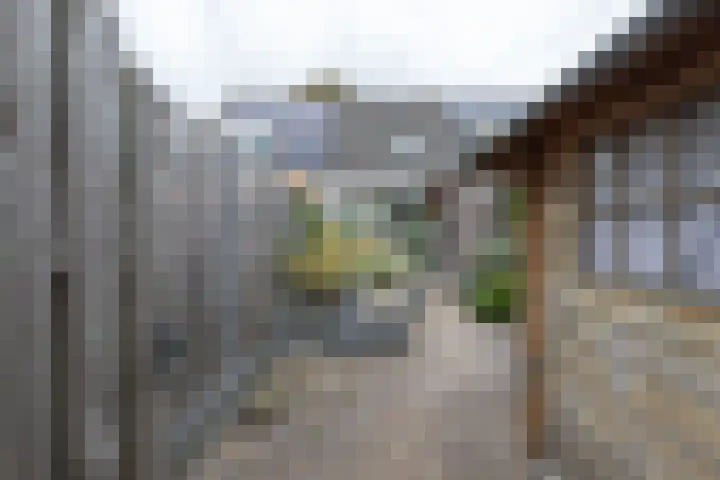 Dr. Oortwijn Botjeslaan 106 Midwolda thumbnail 42