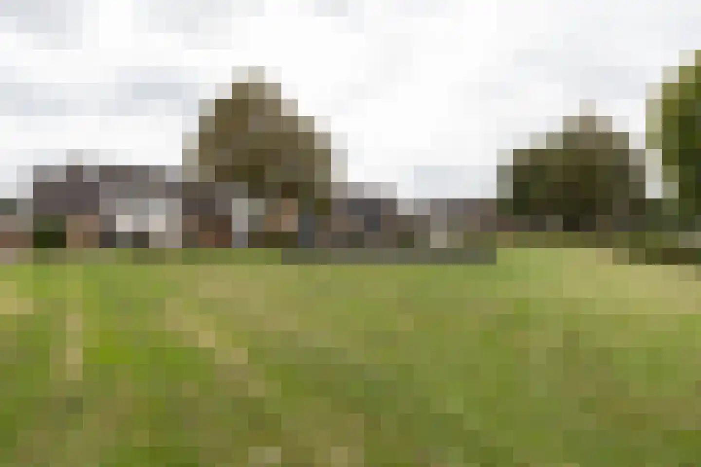 Dr. Oortwijn Botjeslaan 106 Midwolda thumbnail 7