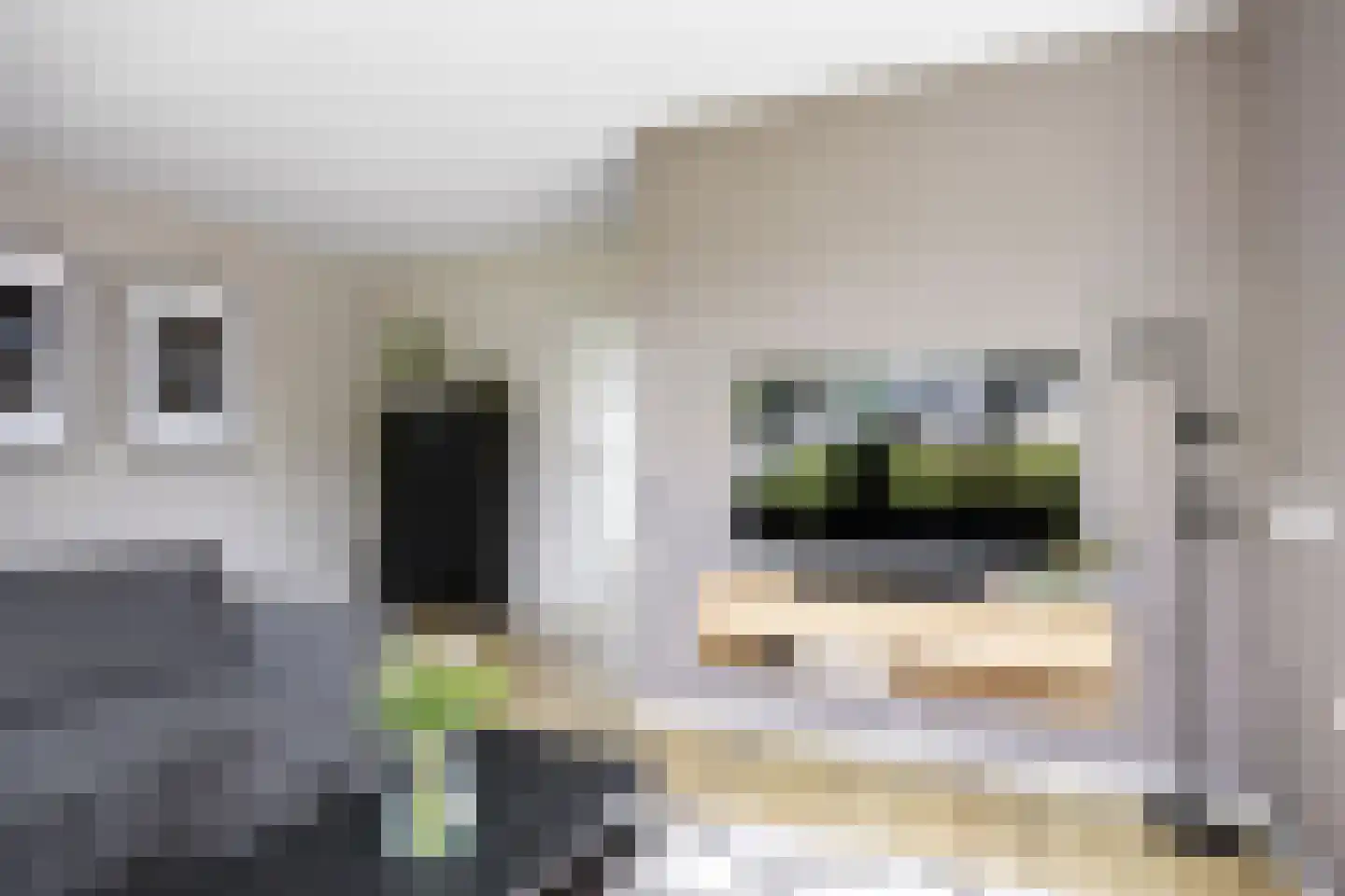 Dr. Oortwijn Botjeslaan 122 Midwolda thumbnail 17