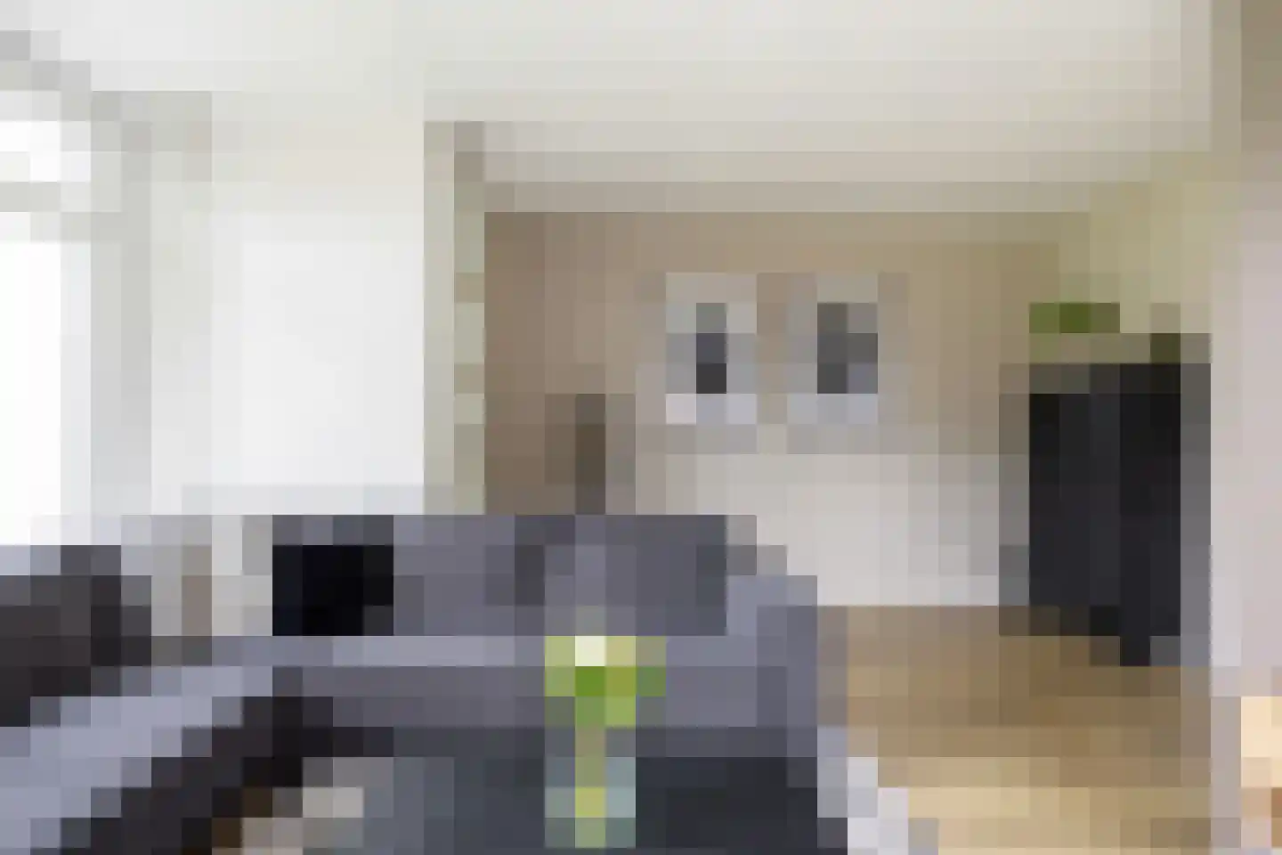 Dr. Oortwijn Botjeslaan 122 Midwolda thumbnail 18