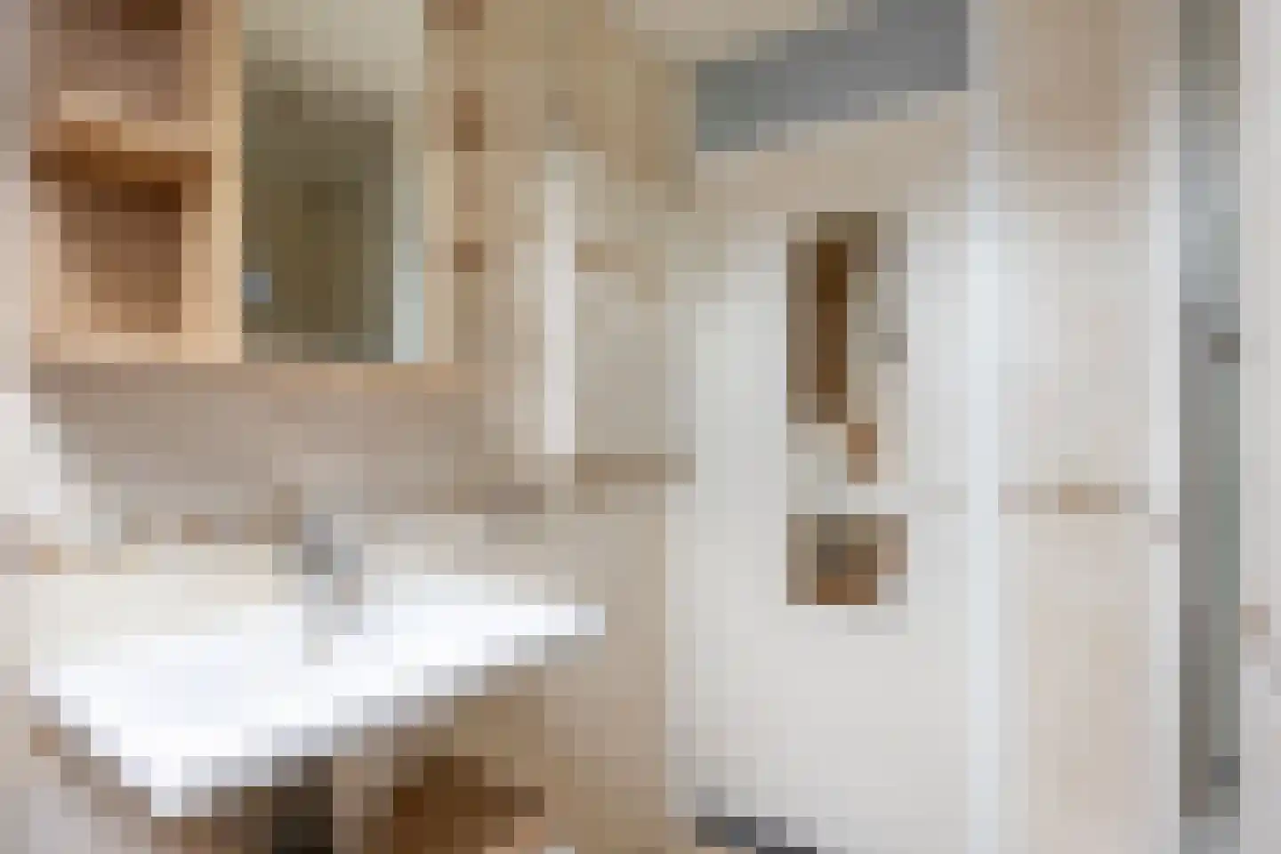 Dr. Oortwijn Botjeslaan 122 Midwolda thumbnail 41
