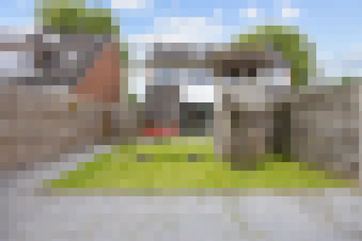 Dr. Oortwijn Botjeslaan 122 Midwolda thumbnail 60