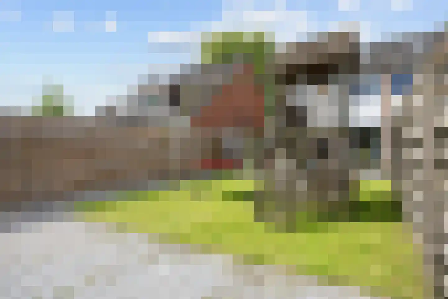 Dr. Oortwijn Botjeslaan 122 Midwolda thumbnail 61