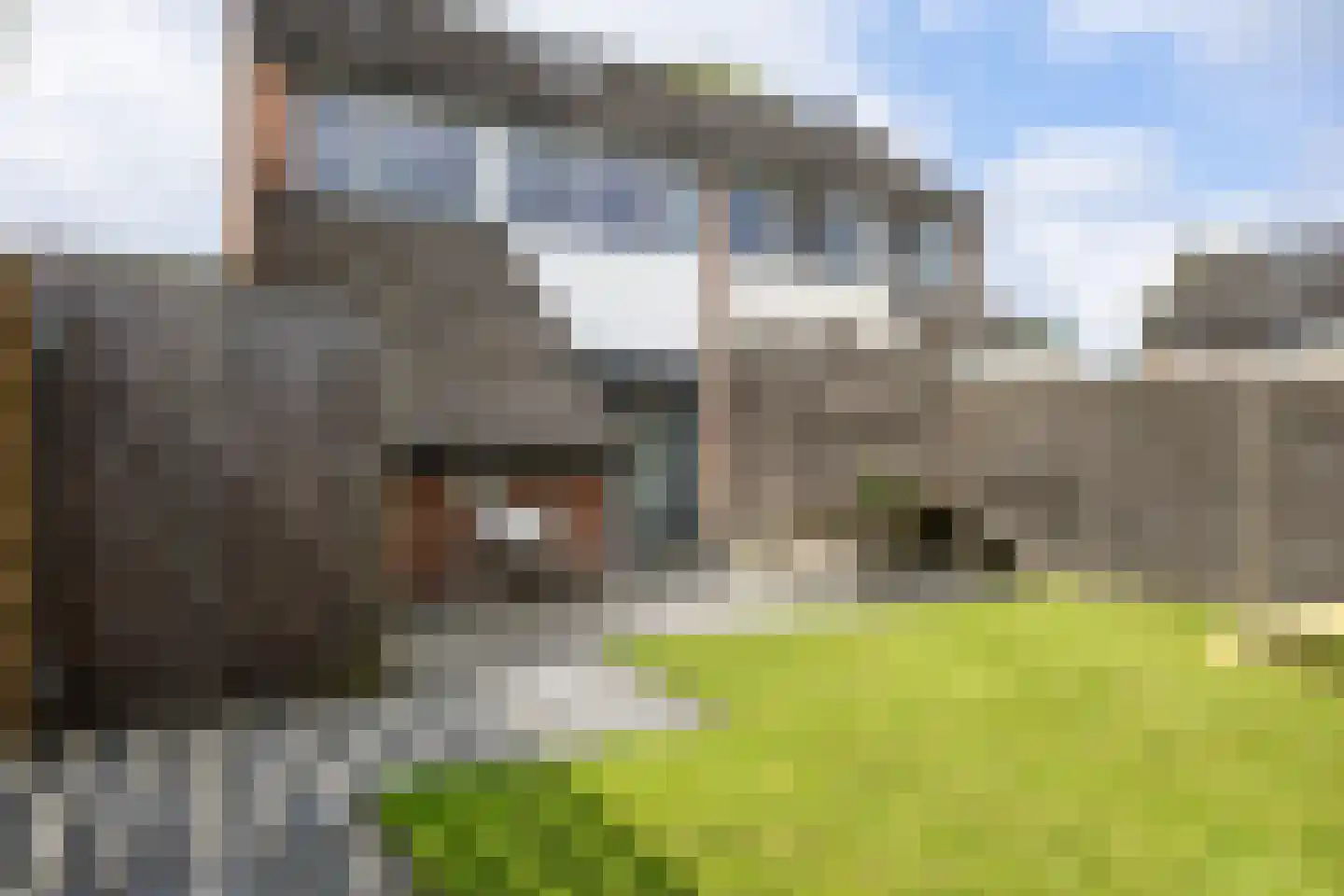 Dr. Oortwijn Botjeslaan 122 Midwolda thumbnail 62
