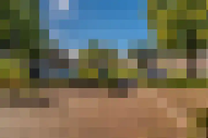 Dr. Oortwijn Botjeslaan 138 Midwolda thumbnail 12