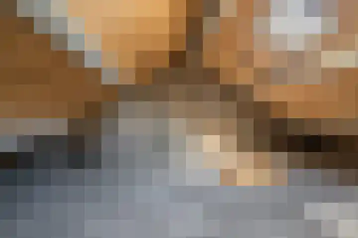 Dr. Oortwijn Botjeslaan 138 Midwolda thumbnail 35