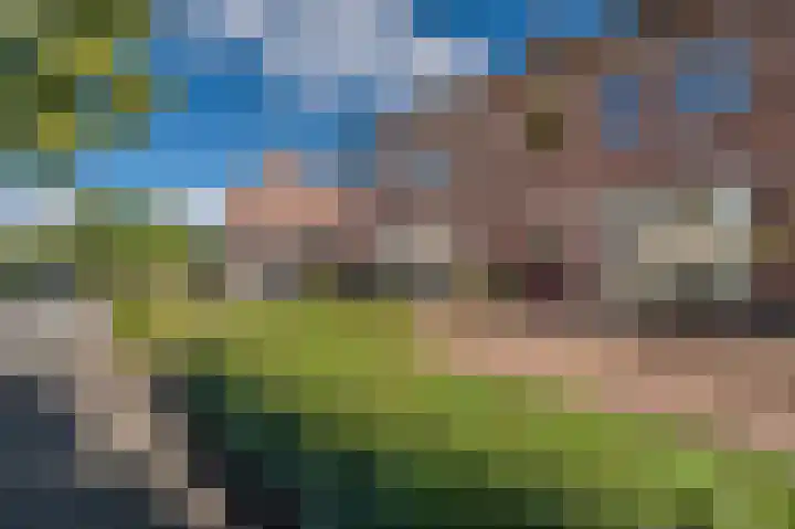 Dr. Oortwijn Botjeslaan 138 Midwolda thumbnail 7