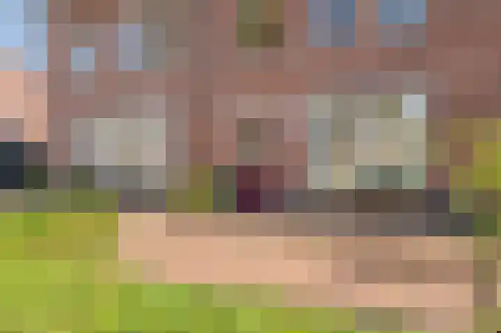 Dr. Oortwijn Botjeslaan 138 Midwolda thumbnail 8