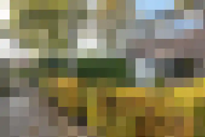 Dr. Oortwijn Botjeslaan 46 Midwolda thumbnail 11