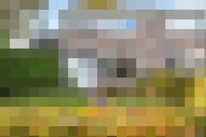 Dr. Oortwijn Botjeslaan 46 Midwolda thumbnail 15