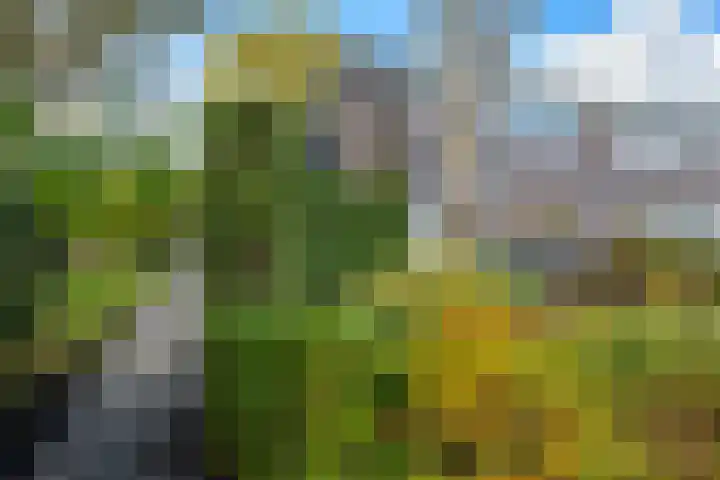 Dr. Oortwijn Botjeslaan 46 Midwolda thumbnail 17