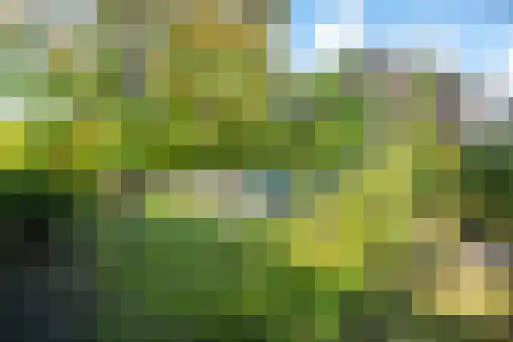 Dr. Oortwijn Botjeslaan 46 Midwolda thumbnail 20