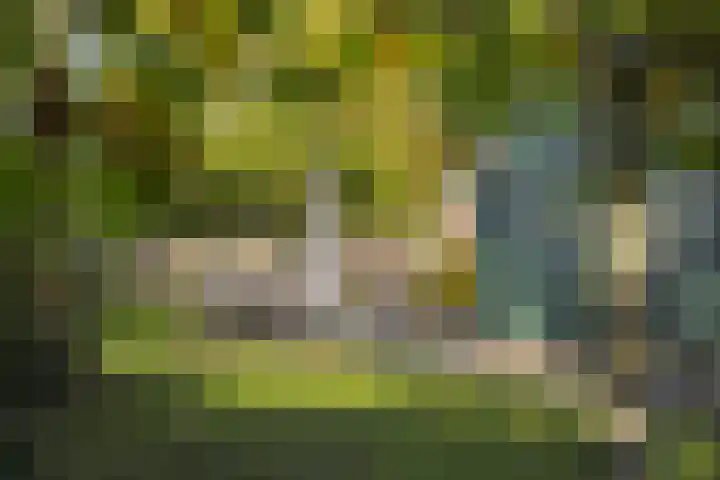 Dr. Oortwijn Botjeslaan 46 Midwolda thumbnail 21