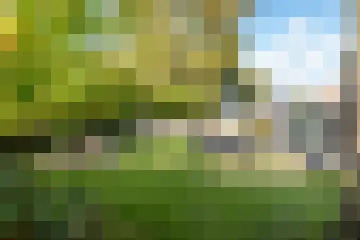 Dr. Oortwijn Botjeslaan 46 Midwolda thumbnail 22