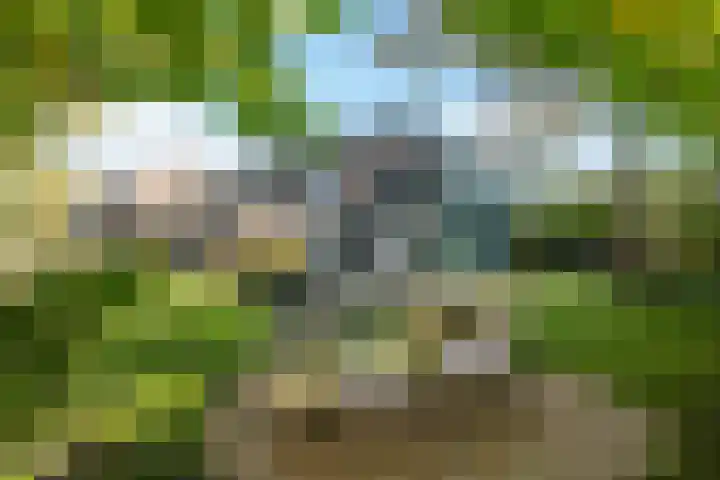 Dr. Oortwijn Botjeslaan 46 Midwolda thumbnail 23