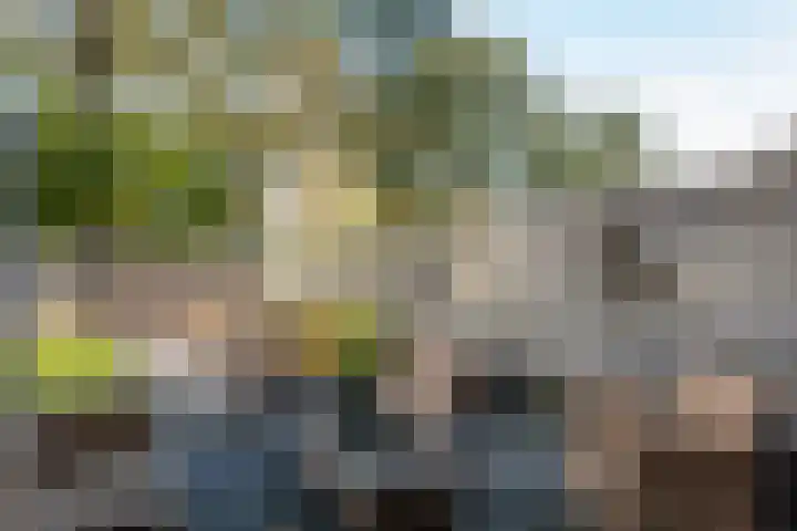 Dr. Oortwijn Botjeslaan 46 Midwolda thumbnail 30