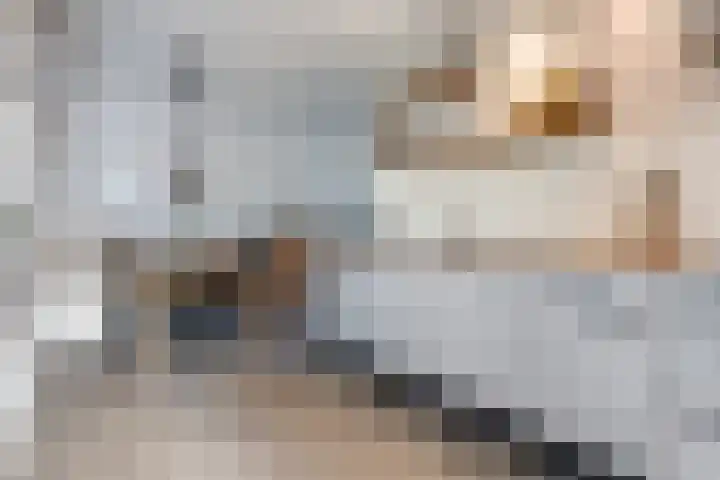 Dr. Oortwijn Botjeslaan 46 Midwolda thumbnail 42