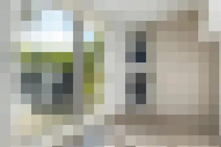 Dr. Oortwijn Botjeslaan 46 Midwolda thumbnail 46