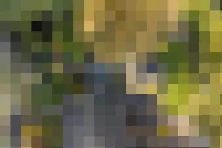Dr. Oortwijn Botjeslaan 46 Midwolda thumbnail 5