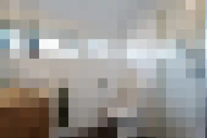 Dr. Oortwijn Botjeslaan 46 Midwolda thumbnail 55
