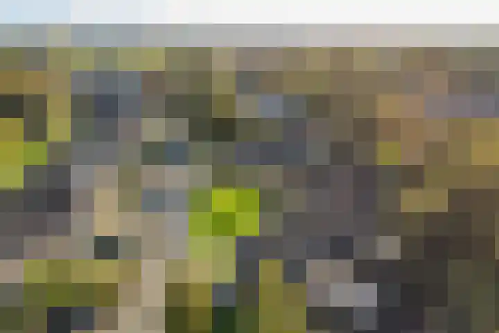 Dr. Oortwijn Botjeslaan 46 Midwolda thumbnail 6