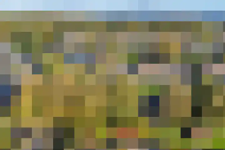 Dr. Oortwijn Botjeslaan 46 Midwolda thumbnail 7