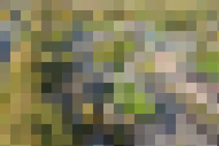 Dr. Oortwijn Botjeslaan 46 Midwolda thumbnail 8