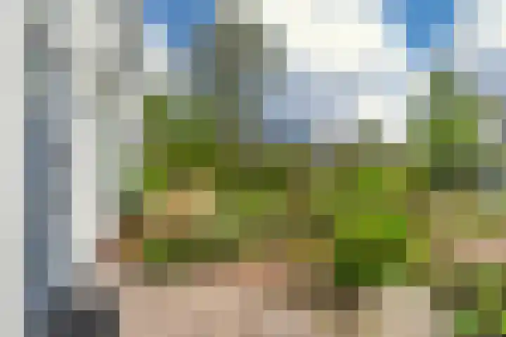 Dr. Oortwijn Botjeslaan 63 Midwolda thumbnail 10