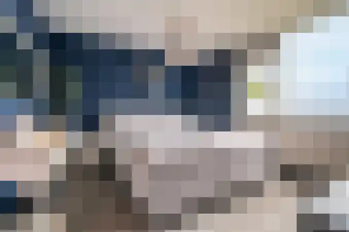 Dr. Oortwijn Botjeslaan 63 Midwolda thumbnail 39