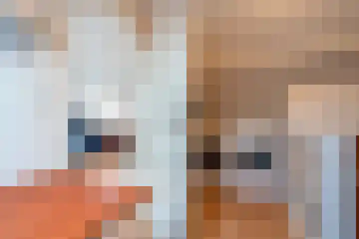 Dr. Oortwijn Botjeslaan 63 Midwolda thumbnail 44
