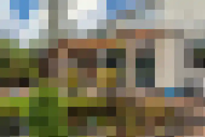 Dr. Oortwijn Botjeslaan 63 Midwolda thumbnail 47