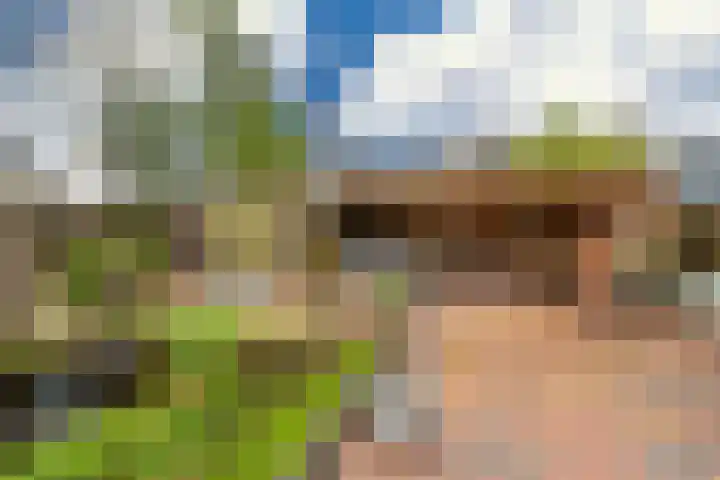Dr. Oortwijn Botjeslaan 63 Midwolda thumbnail 55