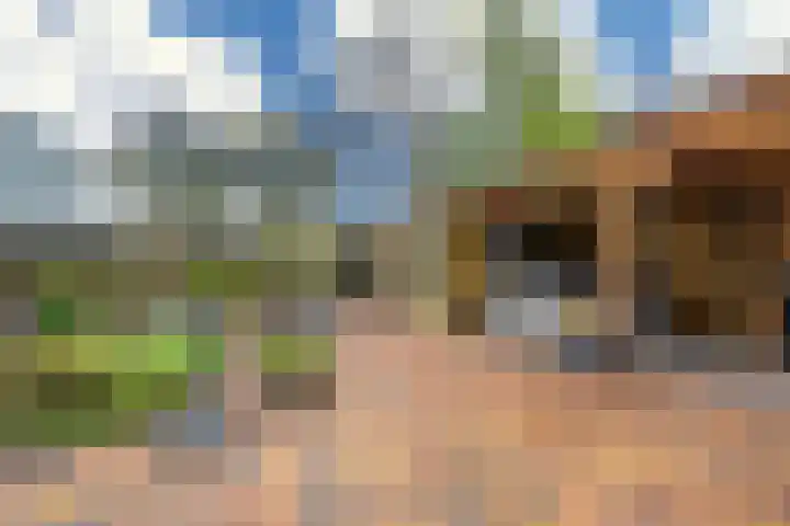 Dr. Oortwijn Botjeslaan 63 Midwolda thumbnail 56