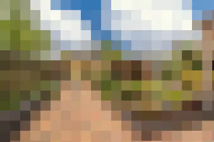 Dr. Oortwijn Botjeslaan 63 Midwolda thumbnail 58
