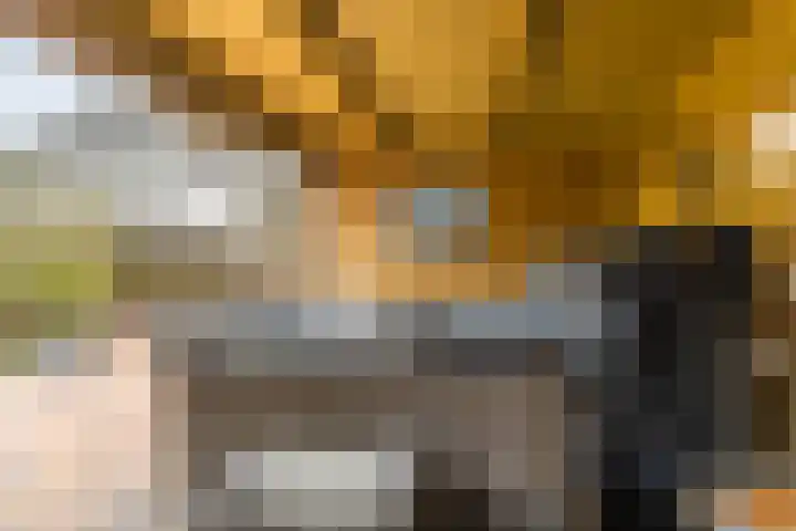 Dr. Oortwijn Botjeslaan 63 Midwolda thumbnail 61