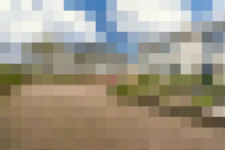 Dr. Oortwijn Botjeslaan 63 Midwolda thumbnail 8