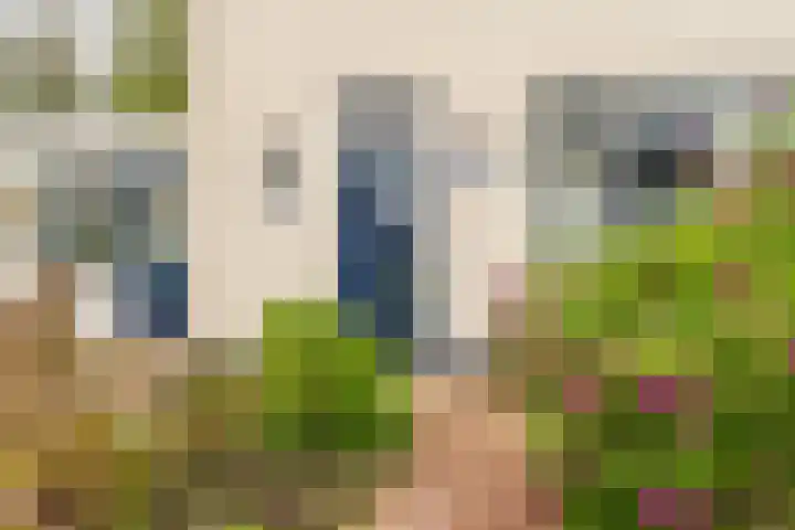 Dr. Oortwijn Botjeslaan 63 Midwolda thumbnail 9