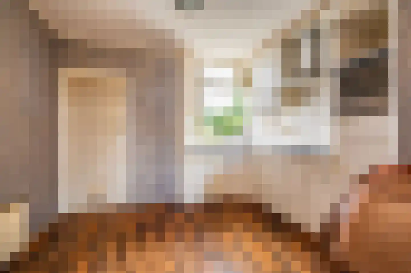 Dr. Oortwijn Botjeslaan 89 Midwolda thumbnail 10