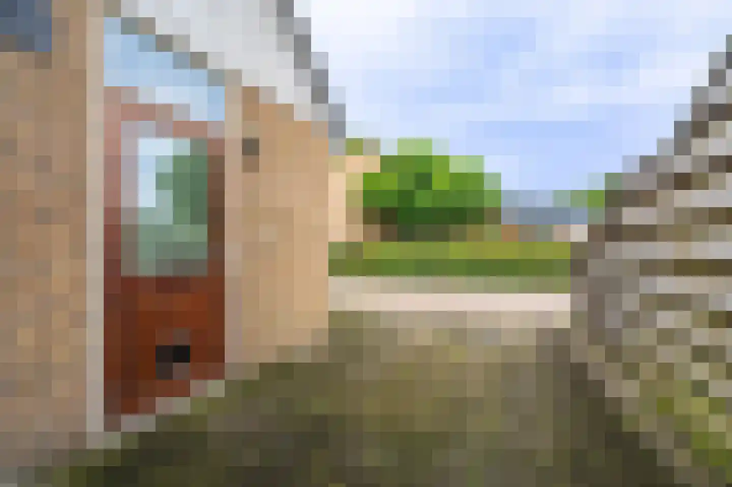 Dr. Oortwijn Botjeslaan 89 Midwolda thumbnail 30