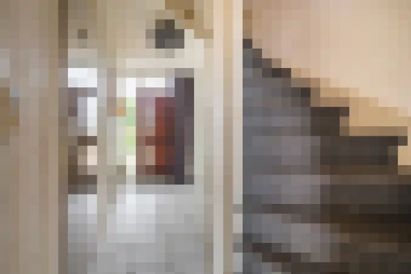 Dr. Oortwijn Botjeslaan 89 Midwolda thumbnail 4