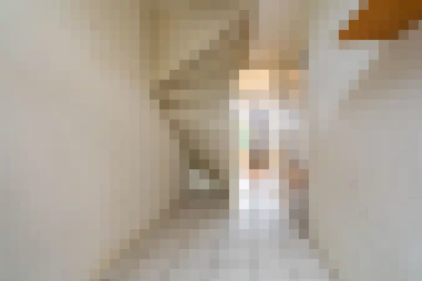 Dr. Oortwijn Botjeslaan 89 Midwolda thumbnail 5
