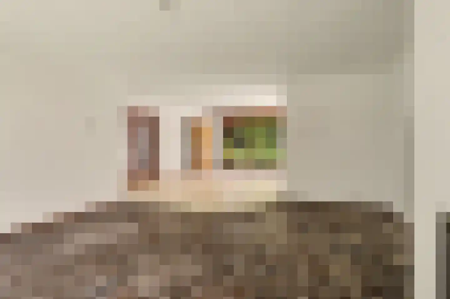 Dr. P. C. de Brouwerlaan 20 Hilvarenbeek thumbnail 11