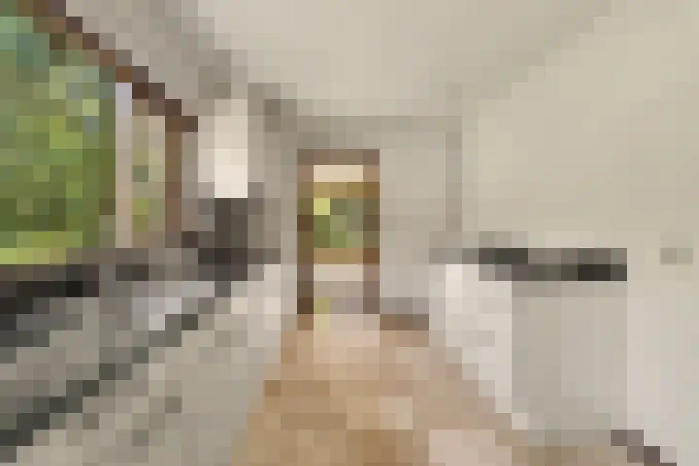 Dr. P. C. de Brouwerlaan 20 Hilvarenbeek thumbnail 17