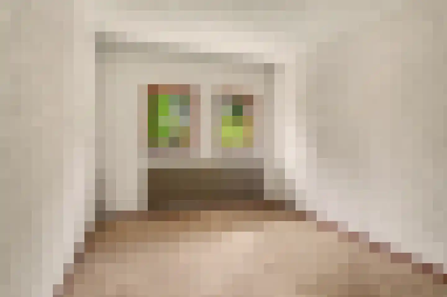 Dr. P. C. de Brouwerlaan 20 Hilvarenbeek thumbnail 19