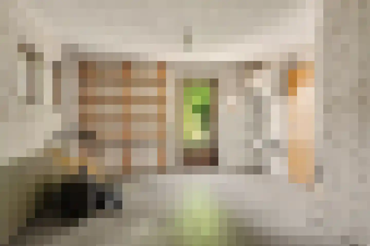 Dr. P. C. de Brouwerlaan 20 Hilvarenbeek thumbnail 21